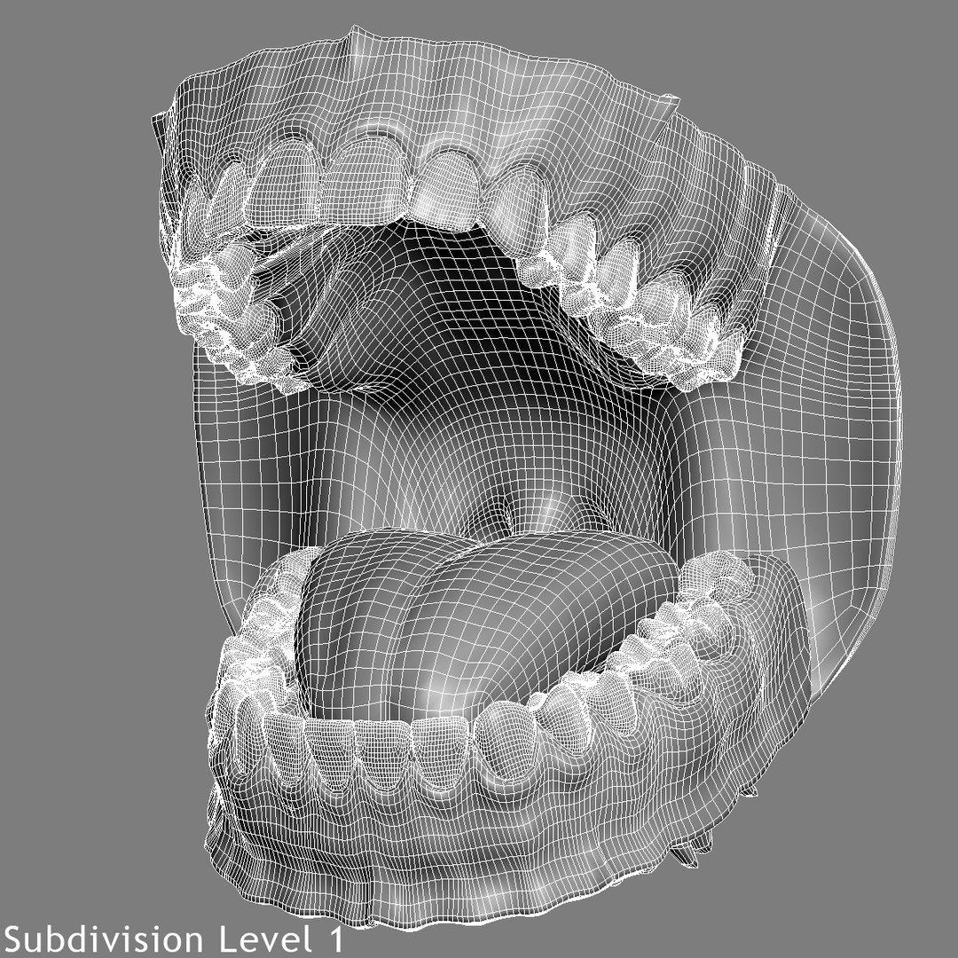 realistic teeth gums tongue max https://p.turbosquid.com/ts-thumb/R1/2M8Vpy/WJxU09oS/subdivisionlevel1/jpg/1401745689/1920x1080/fit_q87/e850898070aa43c361998f8319cd491d74942538/subdivisionlevel1.jpg