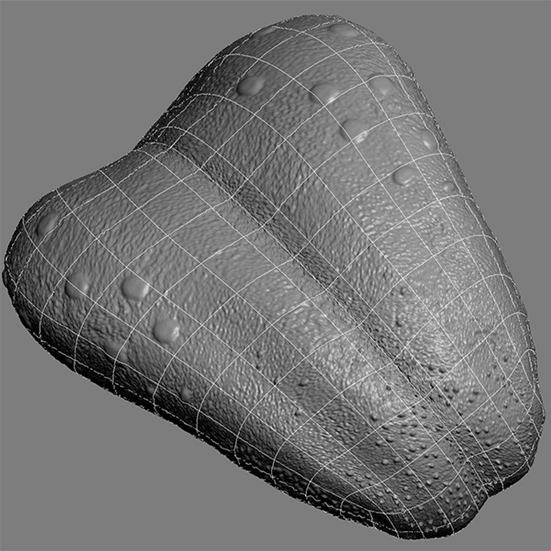 realistic teeth gums tongue max https://p.turbosquid.com/ts-thumb/R1/2M8Vpy/alKlW4Bb/wire03/jpg/1401745689/1920x1080/fit_q87/5bd9b08d9d8e2820899349f8c5de6fcb4e5e2dfb/wire03.jpg