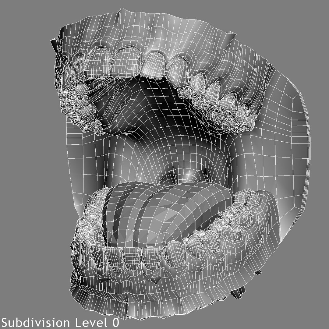 realistic teeth gums tongue max https://p.turbosquid.com/ts-thumb/R1/2M8Vpy/nZCdlG6w/subdivisionlevel0/jpg/1401745689/1920x1080/fit_q87/c023636bb2703fd72a95fde6adaa1ab3ede0a28b/subdivisionlevel0.jpg