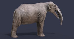 Extinct animals pack version 17
