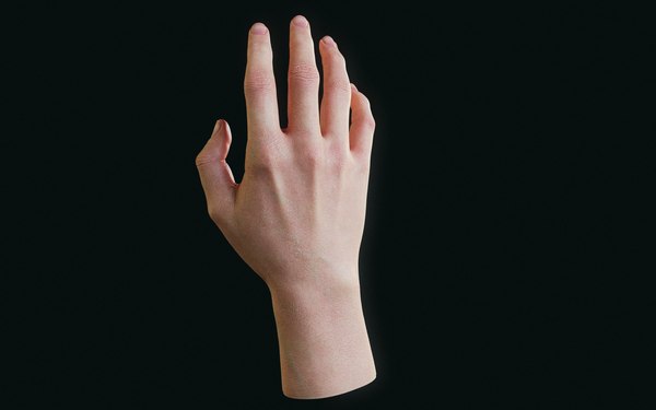 3D модель Realistic Human Hand - TurboSquid 2095170