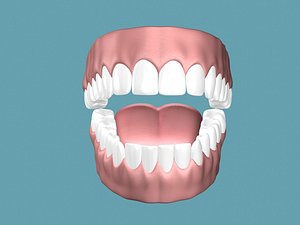 Gums model