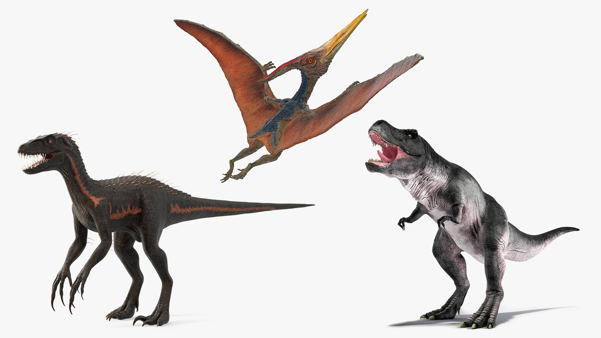 Rigged Carnivorous Dinosaurs Collection for Maya 3D model preview
