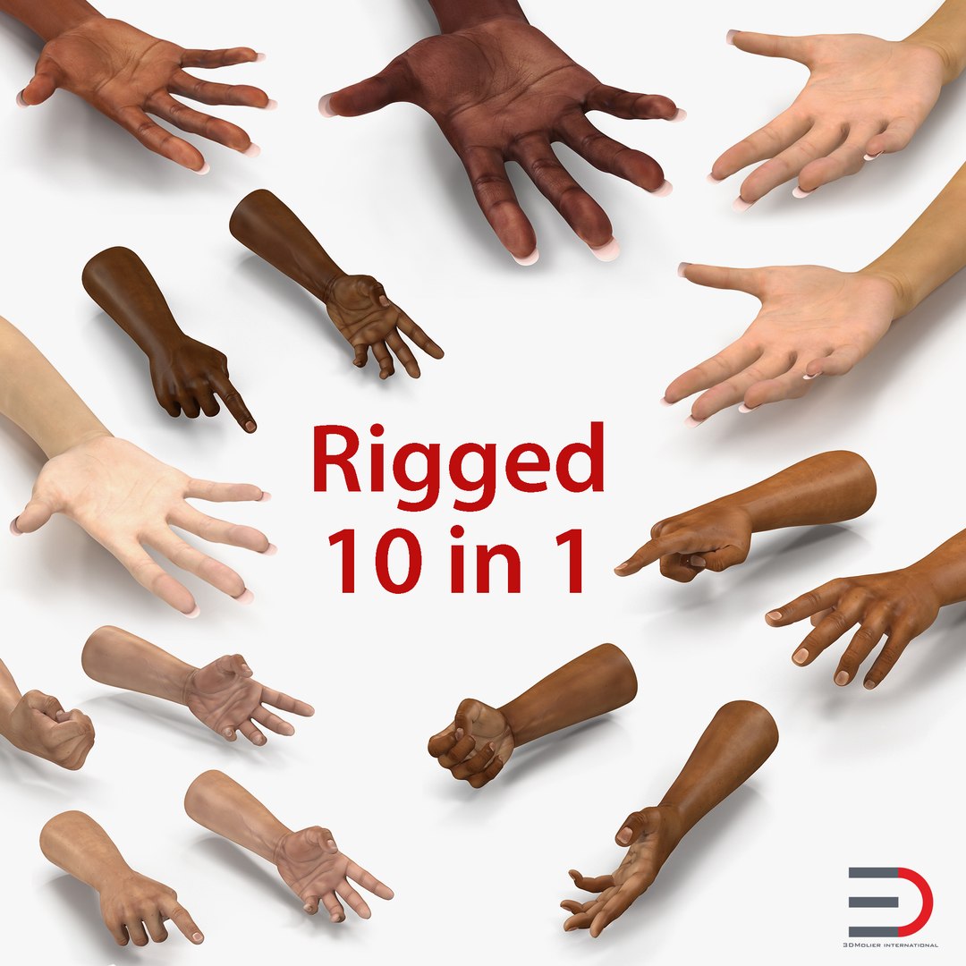 Rigged Hands Collection 3D model preview