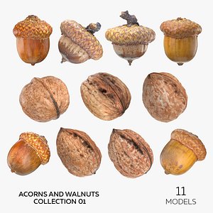 3D Acorns and Walnuts Collection 01 - 11 models