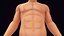 Corpo natural humano com pâncreas