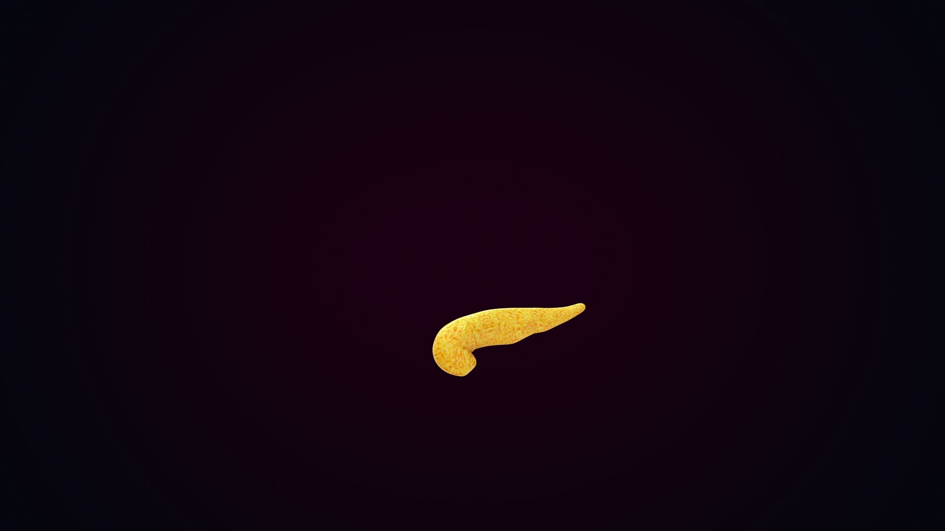 Human Natural Body With Pancreas 3D model https://p.turbosquid.com/ts-thumb/R1/ejoCTQ/iE/pancreas_0018/jpg/1660722146/1920x1080/fit_q87/aa58572e6c06c2ea2ac2927cae878d52c0194b8f/pancreas_0018.jpg
