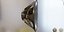 Haut-parleur puissant 21SW150