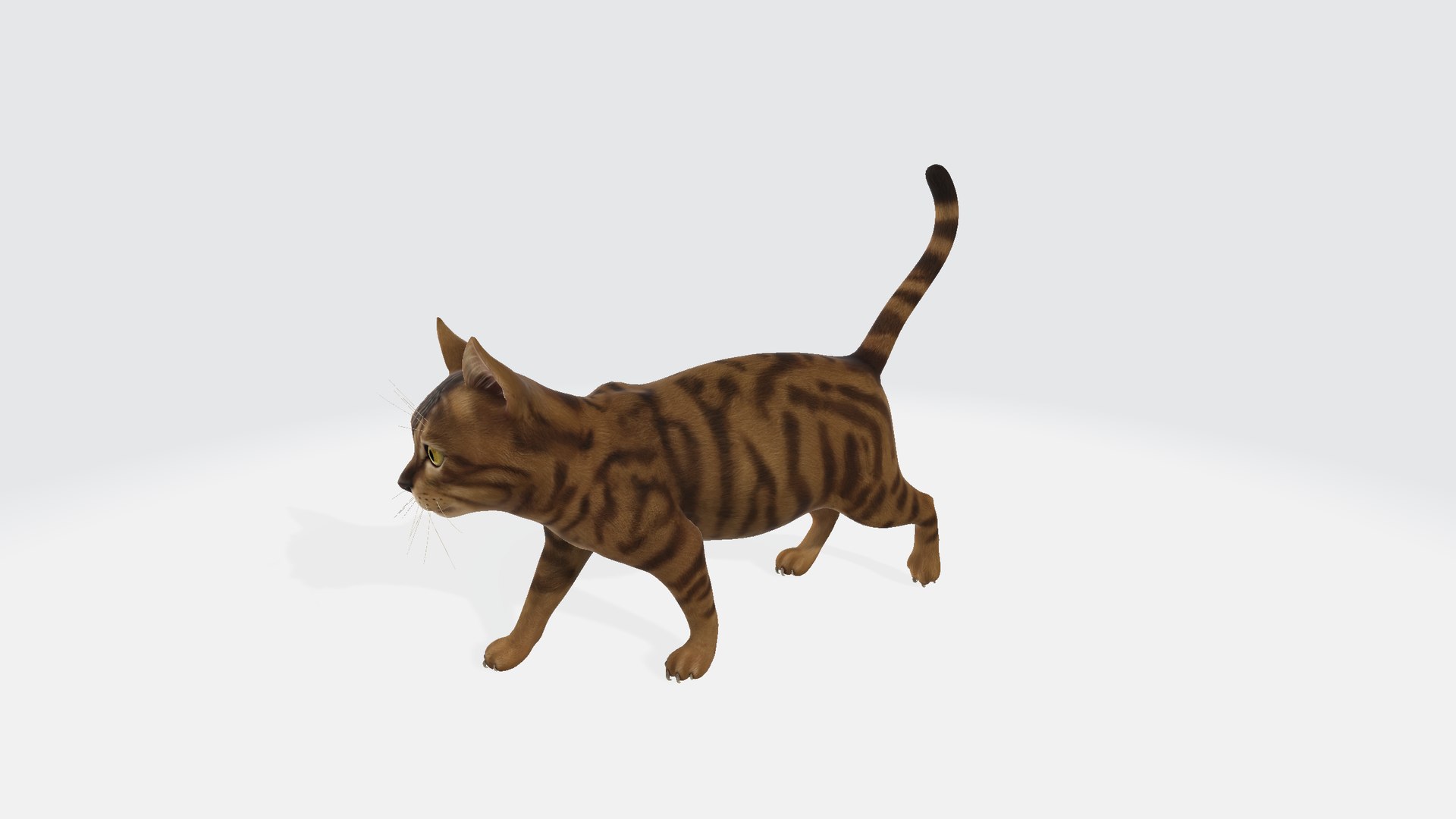 Cat 3D model https://p.turbosquid.com/ts-thumb/R2/3sXeyl/G7/cat0012/png/1731231311/1920x1080/fit_q87/a61e77e181e642baf7483a9e1a5795a027c4dce9/cat0012.jpg
