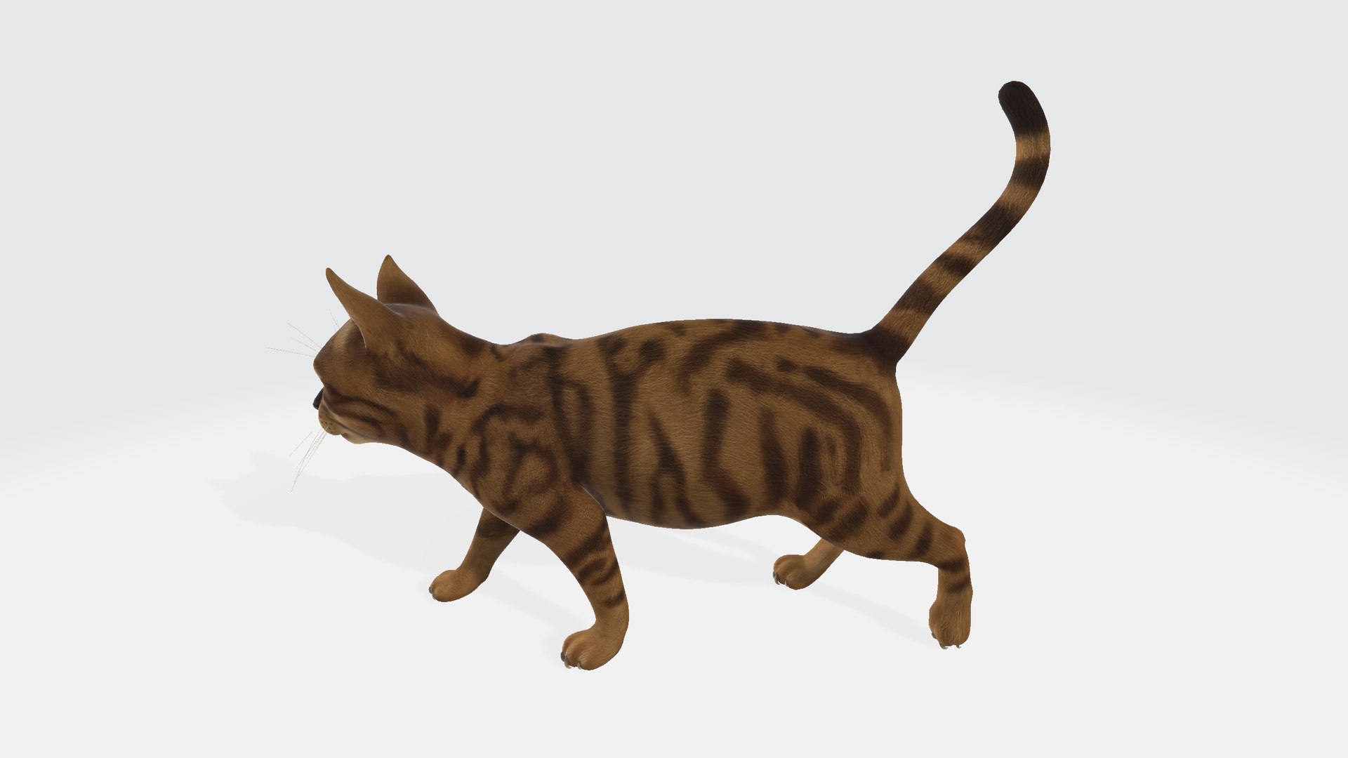 Cat 3D model https://p.turbosquid.com/ts-thumb/R2/3sXeyl/MZ/cat0012345/png/1731231317/1920x1080/fit_q87/9e127754b91aa44f32b6795efc02c7608e73021d/cat0012345.jpg