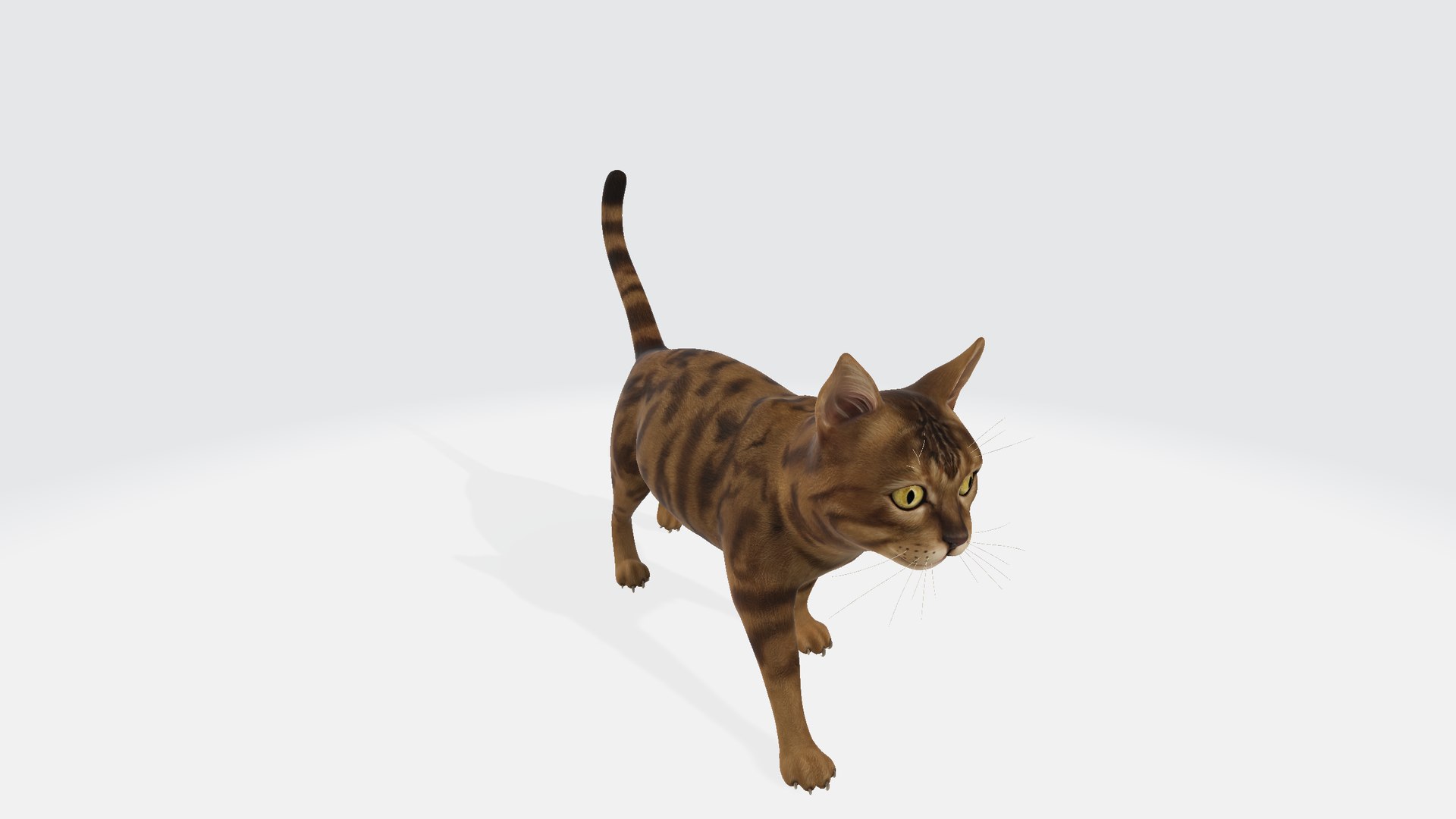 Cat 3D model https://p.turbosquid.com/ts-thumb/R2/3sXeyl/Ot/cat00/png/1731231308/1920x1080/fit_q87/3e09b168fb3ffd409dc2efc68600be0747ac98a8/cat00.jpg