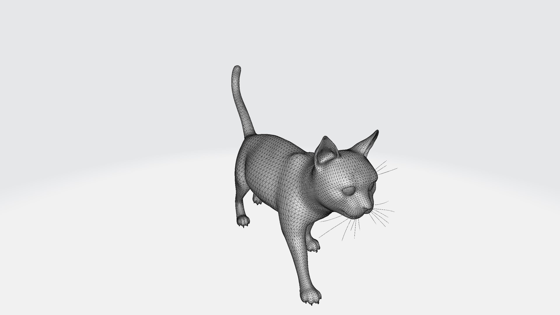 Cat 3D model https://p.turbosquid.com/ts-thumb/R2/3sXeyl/bE/cat001/png/1731231309/1920x1080/fit_q87/9af206645d5fc98cb5d64c63fb525deadcd48bd7/cat001.jpg