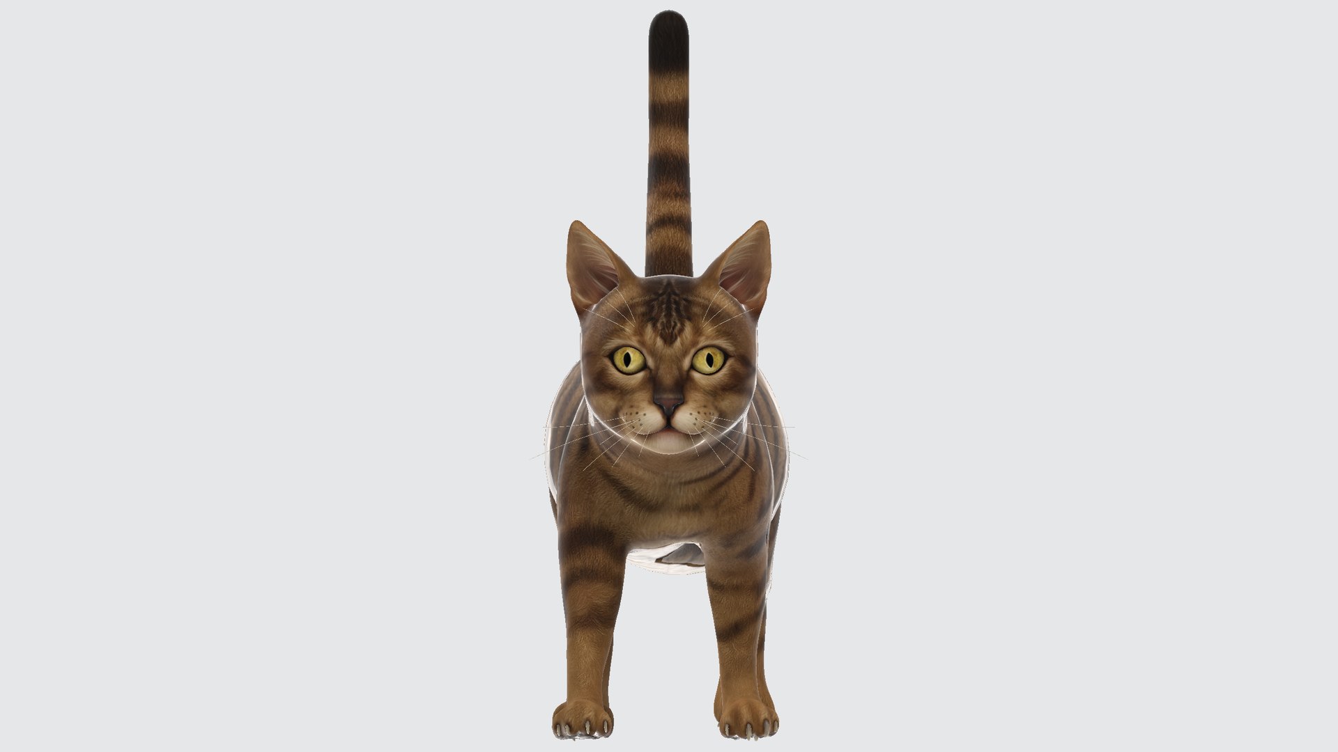 Cat 3D model https://p.turbosquid.com/ts-thumb/R2/3sXeyl/xl/cat00123456789/png/1731231324/1920x1080/fit_q87/7a3d57592c69e52575840f2454577fa212875bbe/cat00123456789.jpg