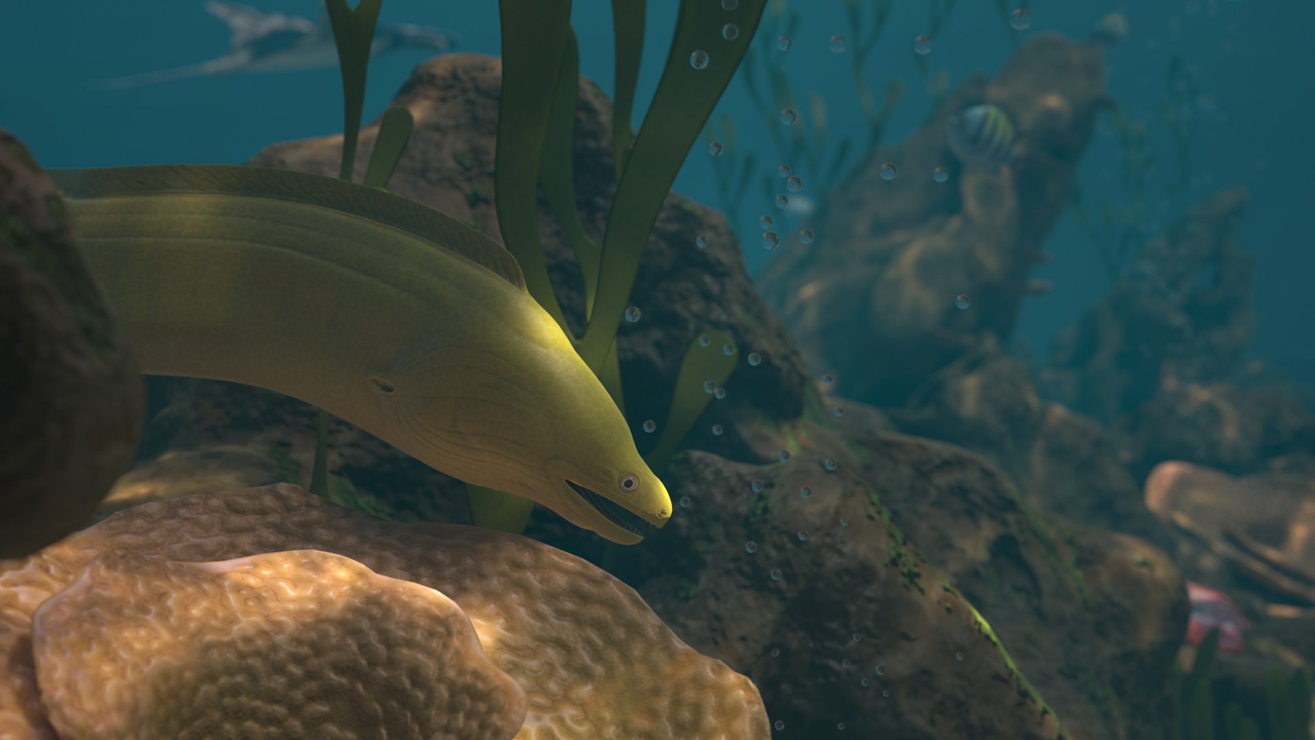 reef pbr 3D model https://p.turbosquid.com/ts-thumb/R2/6TVcuf/EVd4m7Hg/reef3_r4a/png/1587965457/1920x1080/fit_q87/c1ca17c8b628db900302ff8969209c60ccb8cc49/reef3_r4a.jpg