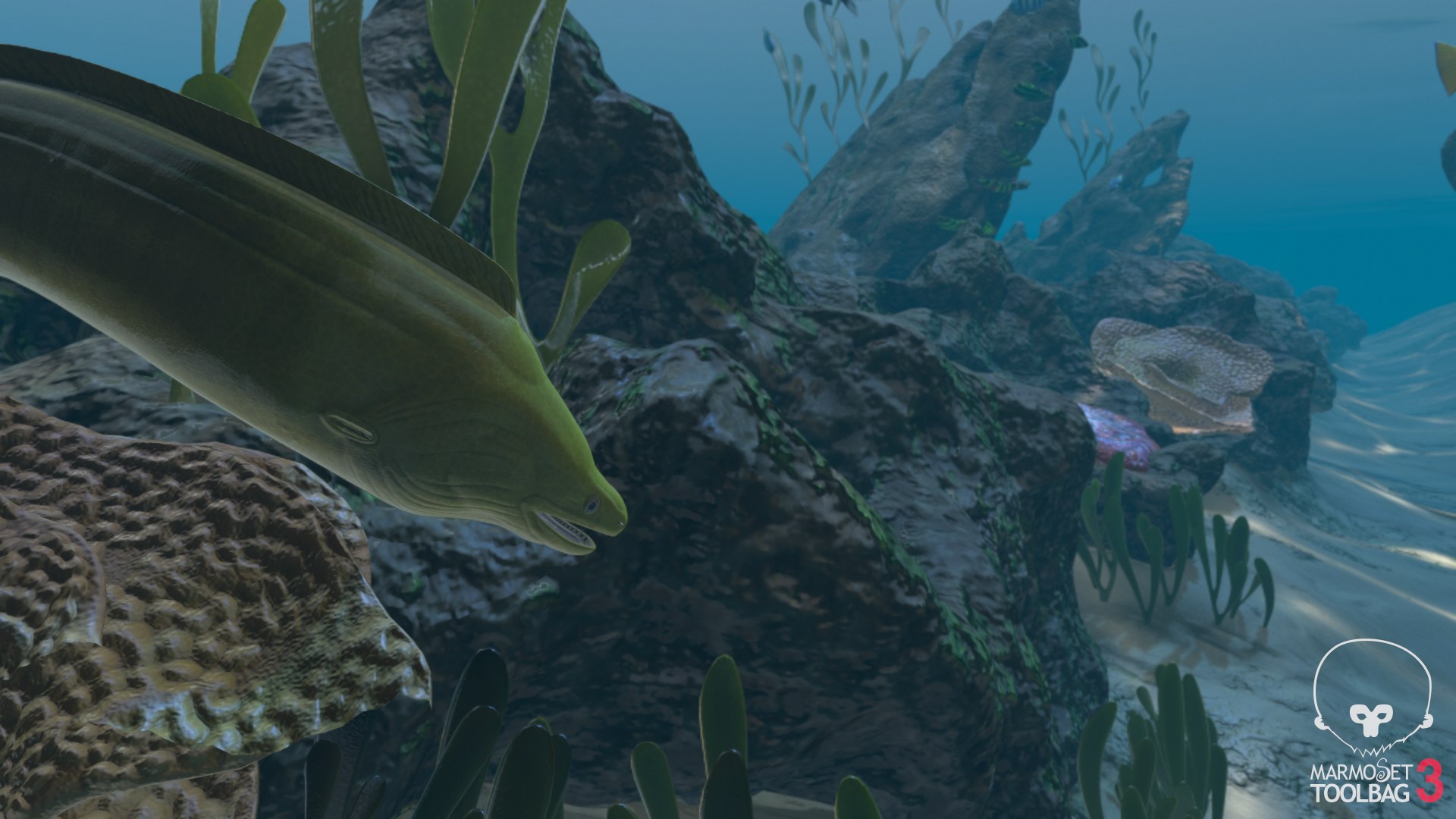 reef pbr 3D model https://p.turbosquid.com/ts-thumb/R2/6TVcuf/KZbS6tzd/screenshot1702/png/1587965473/1920x1080/fit_q87/042dccb7e419e8842b89618e2326b43aca08896b/screenshot1702.jpg