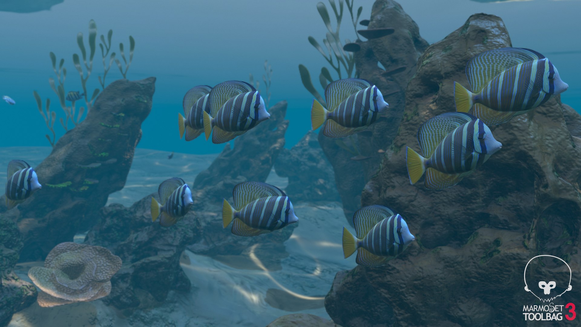 reef pbr 3D model https://p.turbosquid.com/ts-thumb/R2/6TVcuf/Qq2LPjBn/screenshot1703/png/1587965473/1920x1080/fit_q87/1418dce3182a0f550ddd2b7285af6765da97ec39/screenshot1703.jpg