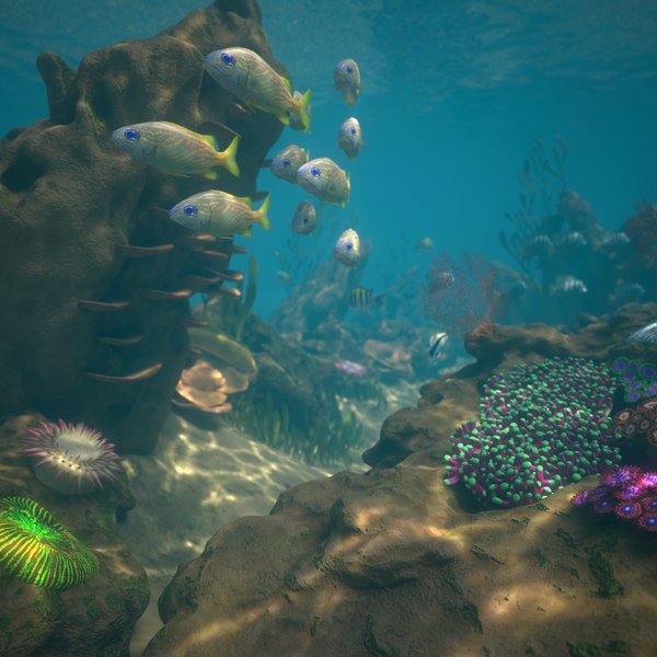 reef pbr 3D model