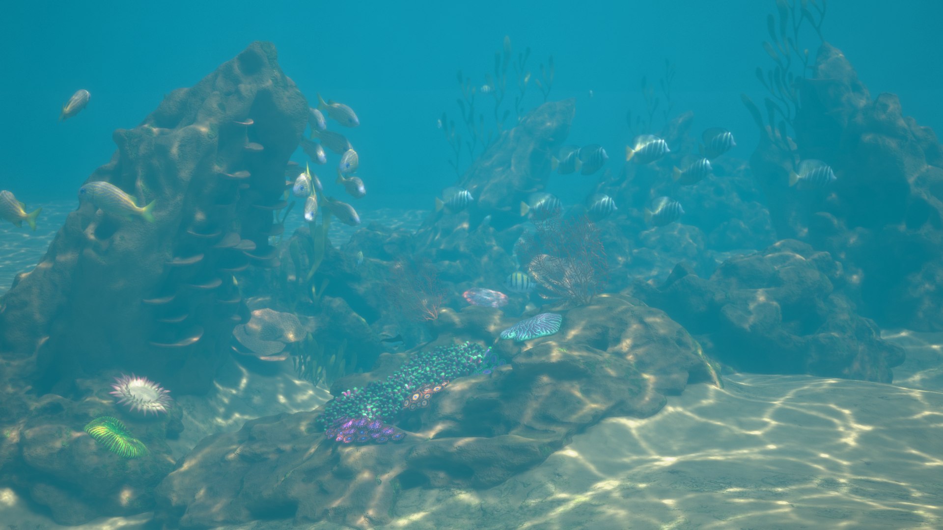 reef pbr 3D model https://p.turbosquid.com/ts-thumb/R2/6TVcuf/So0oEkgP/reef3_r5a/png/1587965458/1920x1080/fit_q87/1c08f3c3a35fd3b935bb8b567d7f78105396f776/reef3_r5a.jpg