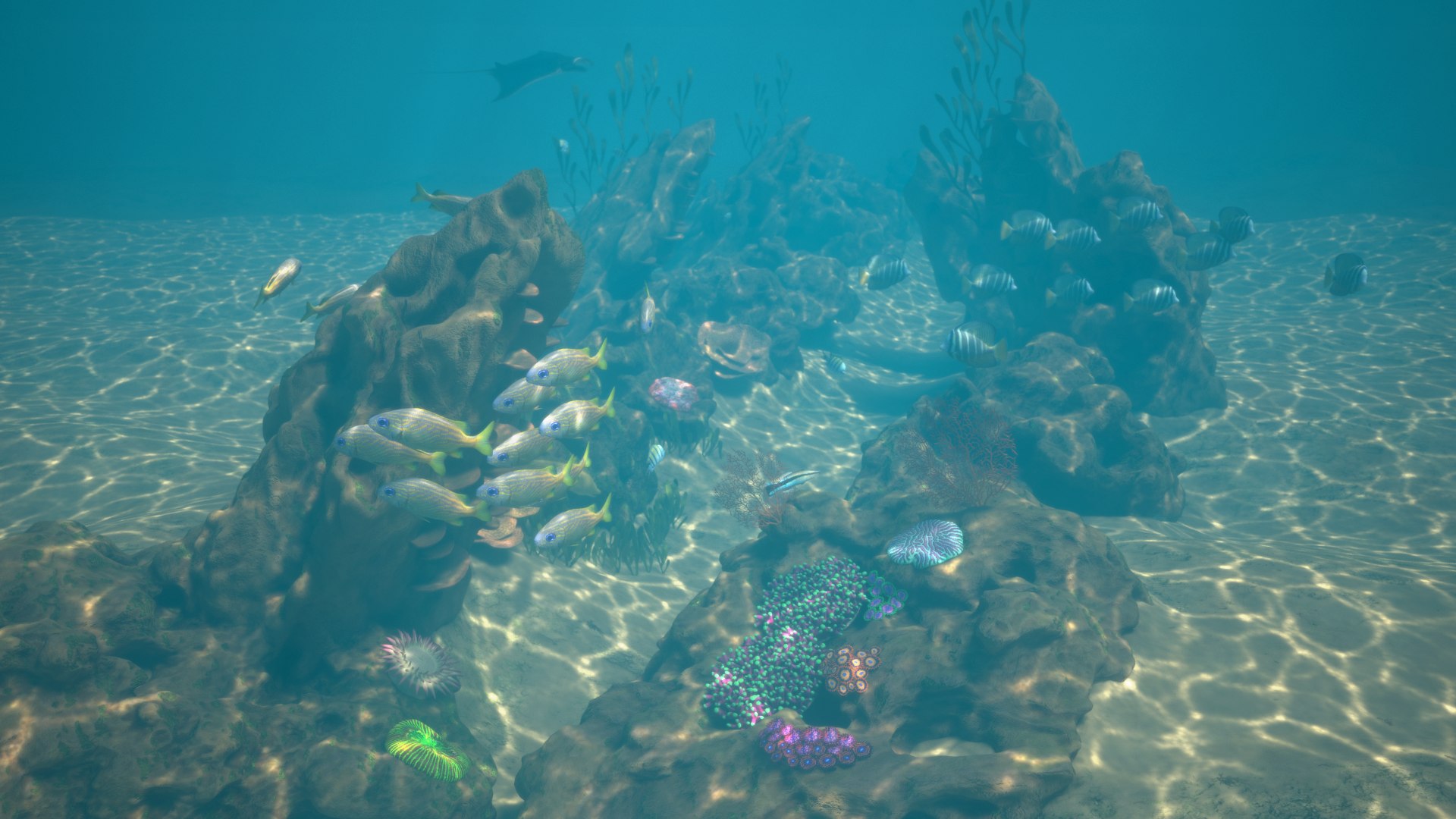 reef pbr 3D model https://p.turbosquid.com/ts-thumb/R2/6TVcuf/Ty1ILyql/reef3_r9a/png/1587965463/1920x1080/fit_q87/ab210c2cfe57f13bfad134831c80db2e3fa86fce/reef3_r9a.jpg
