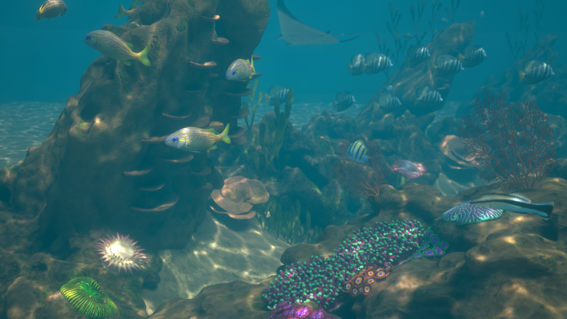reef pbr 3D model https://p.turbosquid.com/ts-thumb/R2/6TVcuf/Ut4rJW7L/reef3_r8a/png/1587965462/1920x1080/fit_q87/23f32f6578a3e5eae8e68988d7112e070354d8ec/reef3_r8a.jpg