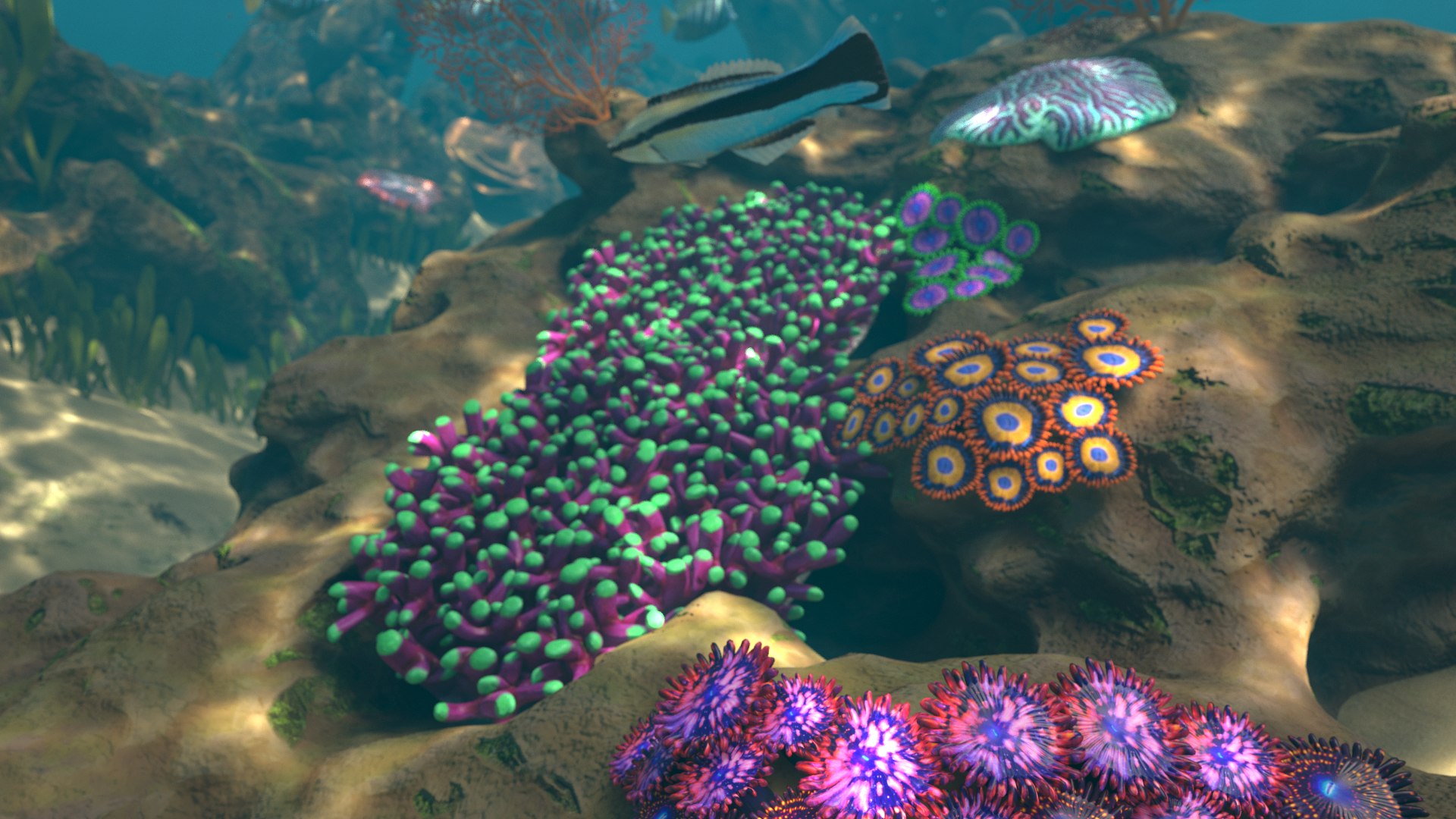 reef pbr 3D model https://p.turbosquid.com/ts-thumb/R2/6TVcuf/mlB7Od1h/reef3_r2a/png/1587965455/1920x1080/fit_q87/3e59f757f1b99062059583be767783349b4cb65e/reef3_r2a.jpg