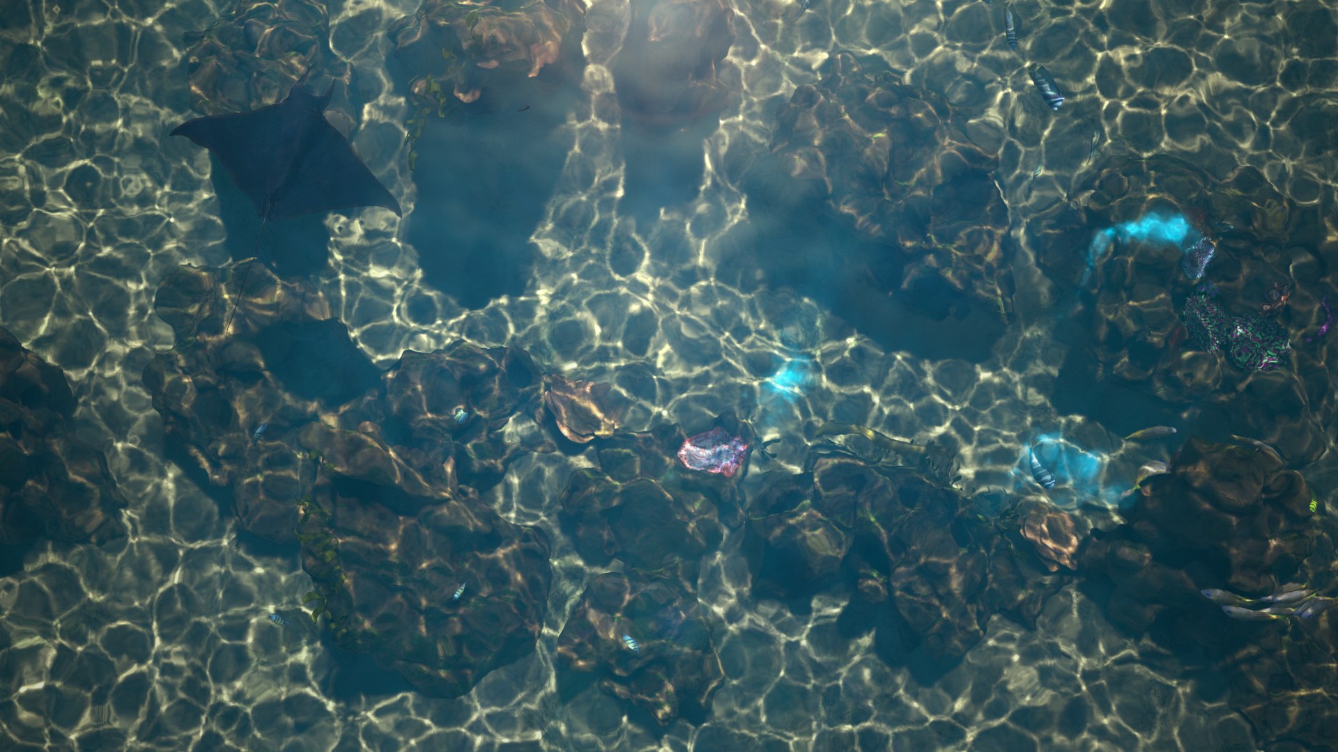 reef pbr 3D model https://p.turbosquid.com/ts-thumb/R2/6TVcuf/nqINTF2o/reef3_r10a/png/1587965468/1920x1080/fit_q87/38f2d56de9363418f0744d50b93e367a60fc840a/reef3_r10a.jpg