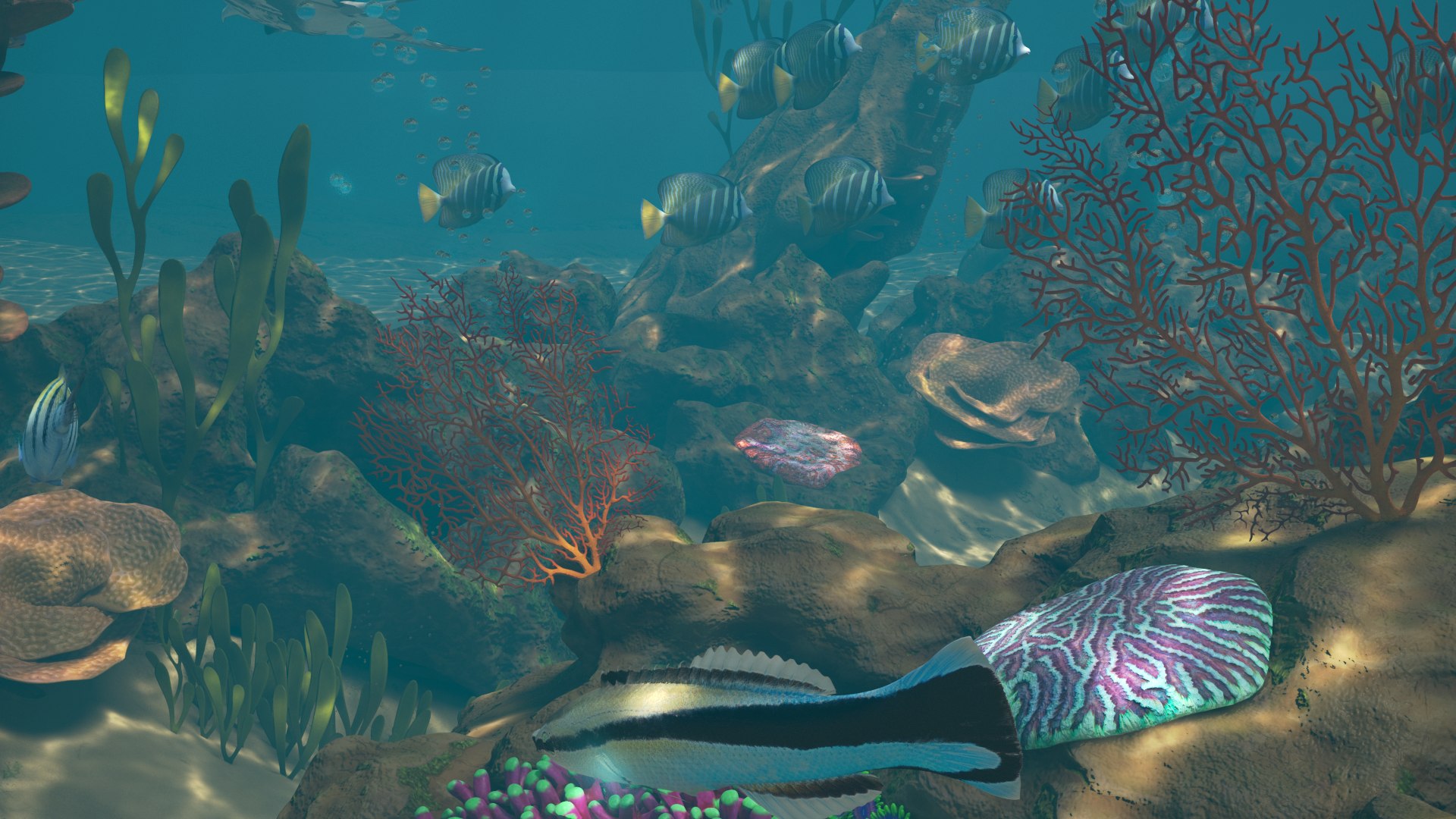 reef pbr 3D model https://p.turbosquid.com/ts-thumb/R2/6TVcuf/nrqQlHF9/reef3_r7a/png/1587965464/1920x1080/fit_q87/926c1dffd796c1b6e3de82bc5a5d82cc18a440d2/reef3_r7a.jpg