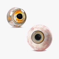 Realistic Animal Eyes Collection