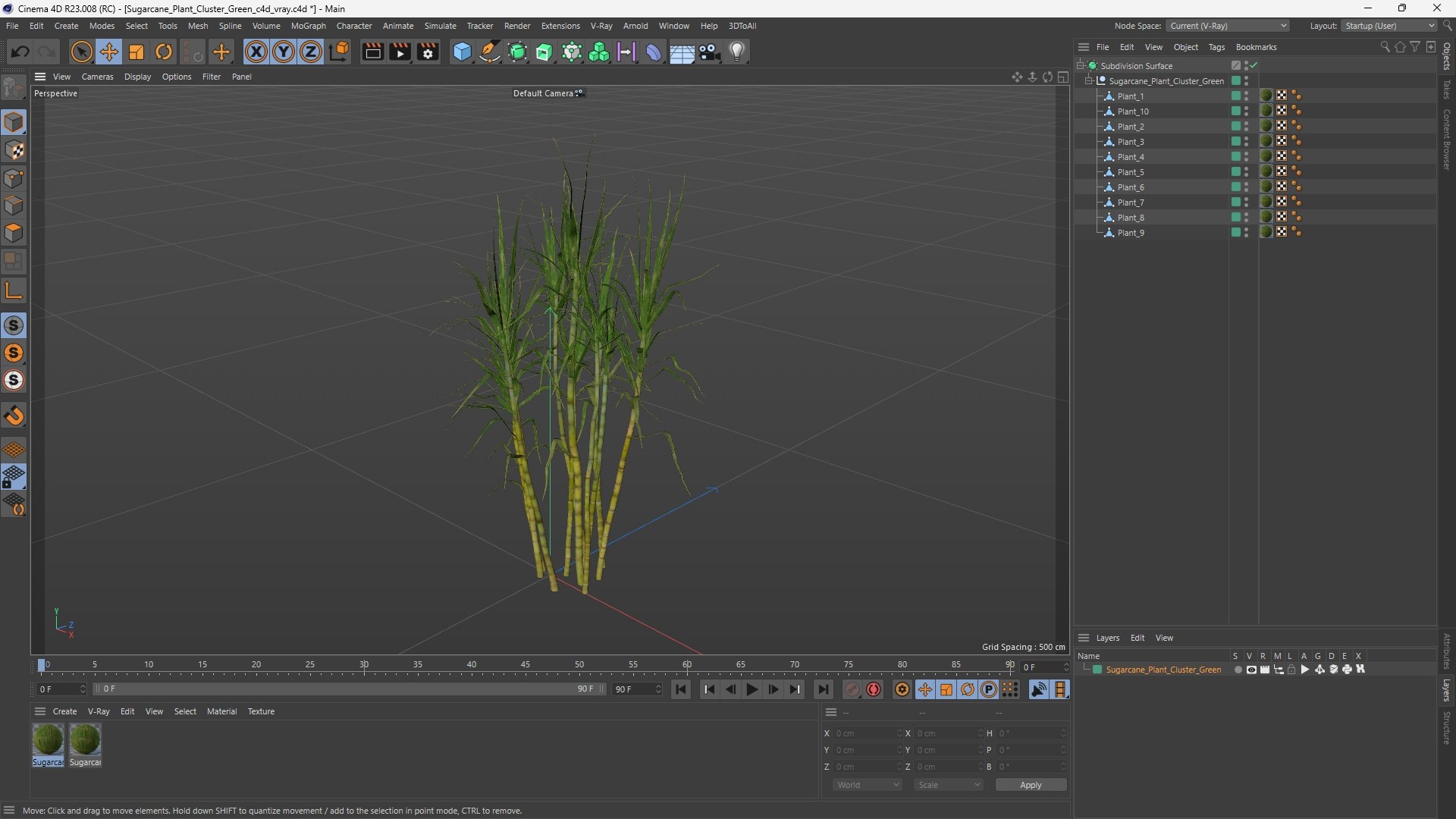 Sugarcane Plant Cluster Green 3D https://p.turbosquid.com/ts-thumb/R2/LNlhZi/Vj/sugarcane_plant_cluster_green_1003/jpg/1766143831/1920x1080/fit_q87/fd2ab3bbde35d63536d8341660f4269e2d020f79/sugarcane_plant_cluster_green_1003.jpg