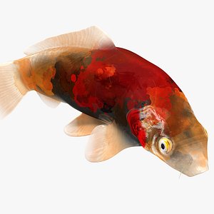 Japanese Carp Fish Rigged L1722 3D model