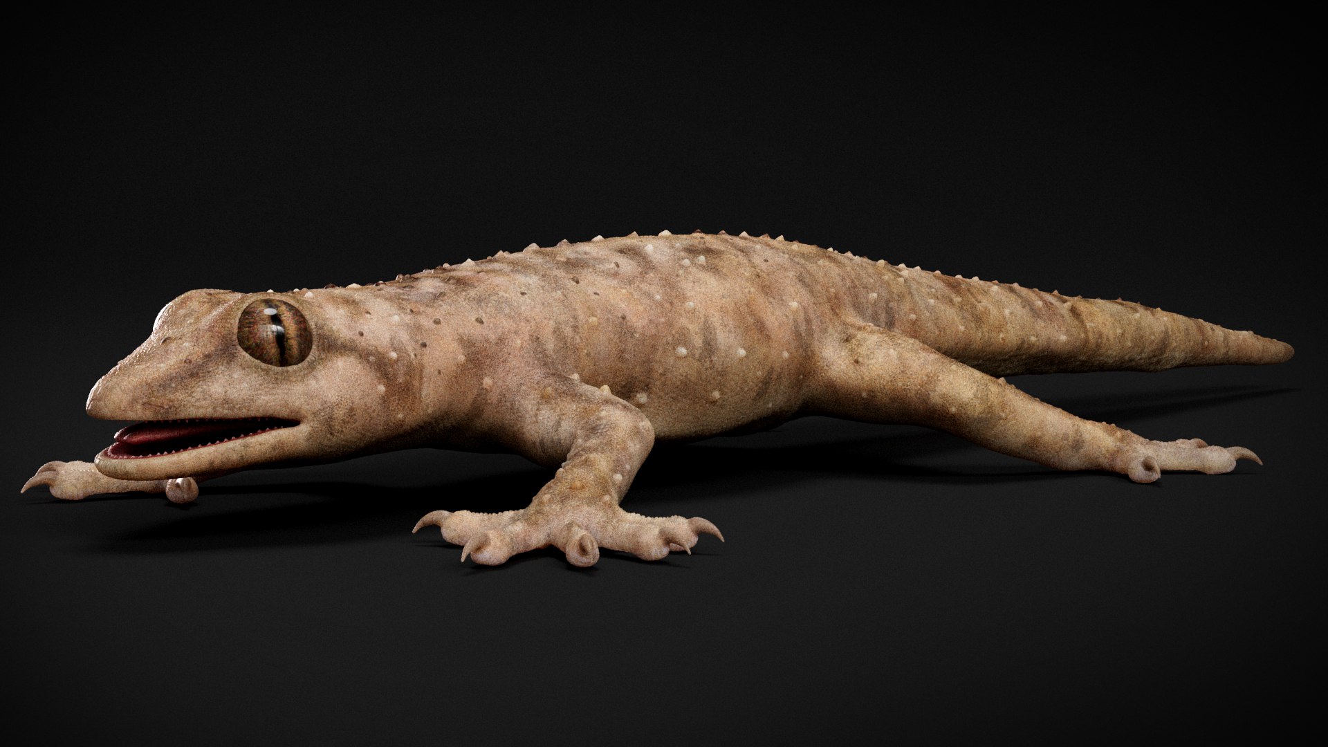 HQ Hemidactylus Turcicus Gecko 3D model https://p.turbosquid.com/ts-thumb/R2/Uaz8DC/6w/s2copy/jpg/1752735457/1920x1080/fit_q87/67d6bdf93bbdea7ac097ddfefaee0c58ebd414e3/s2copy.jpg