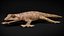 HQ Hemidactylus Turcicus Gecko
