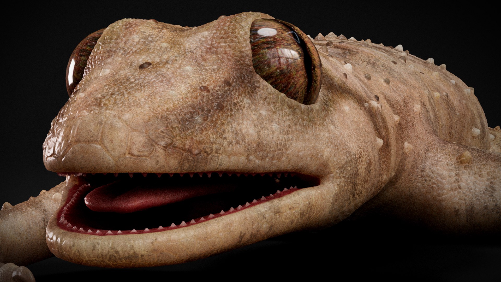 HQ Hemidactylus Turcicus Gecko 3D model https://p.turbosquid.com/ts-thumb/R2/Uaz8DC/9J/s3copy/jpg/1752735460/1920x1080/fit_q87/ab84c8f8d61de86f45e6ee3e5daedf0fdccd73f9/s3copy.jpg