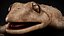 HQ Hemidactylus Turcicus Gecko