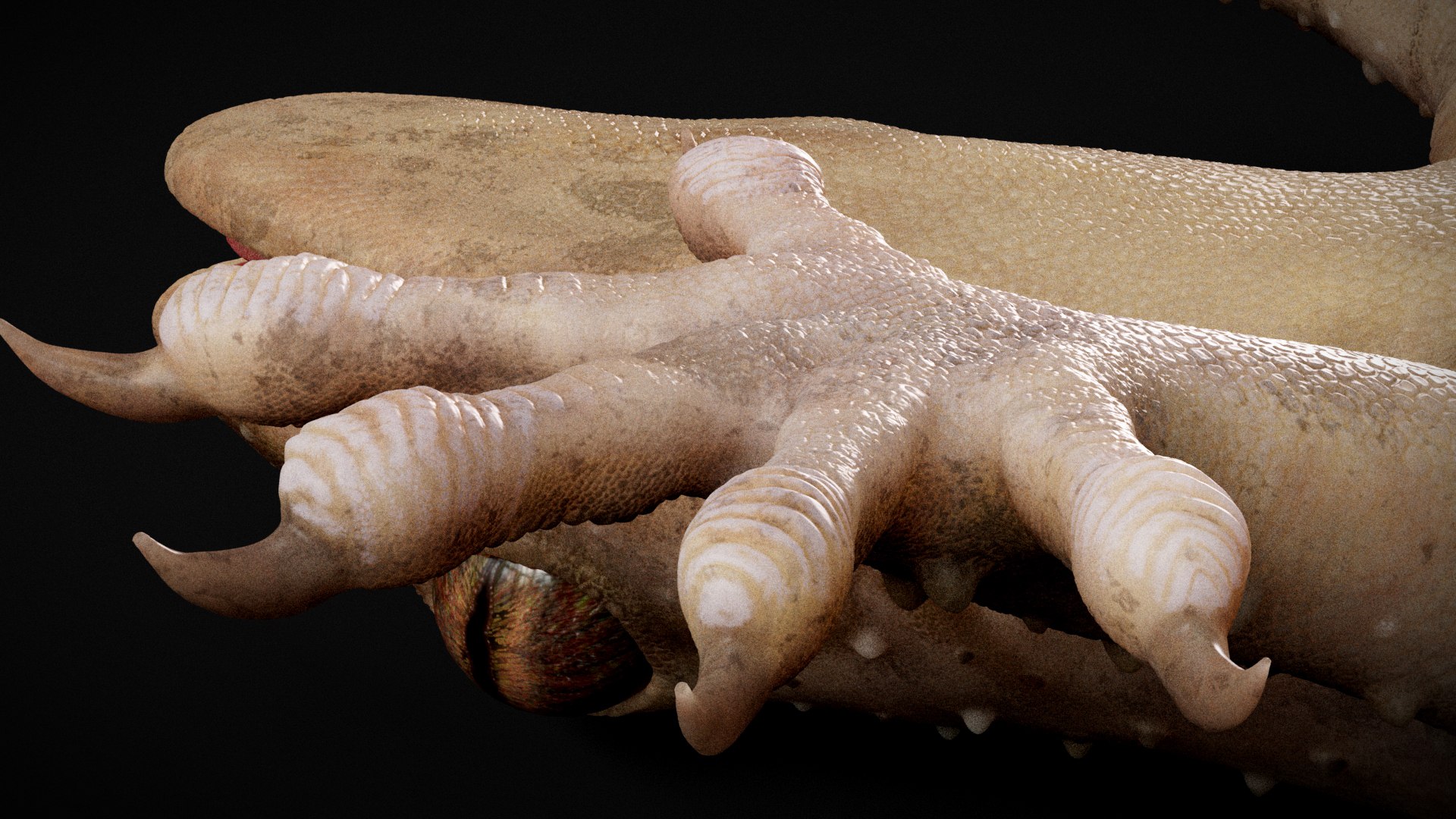 HQ Hemidactylus Turcicus Gecko 3D model https://p.turbosquid.com/ts-thumb/R2/Uaz8DC/B0/s15copy/jpg/1752735546/1920x1080/fit_q87/5e6bc3347ad95b278fdbfb159f9f7755ed6d6576/s15copy.jpg