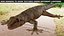 HQ Hemidactylus Turcicus Gecko