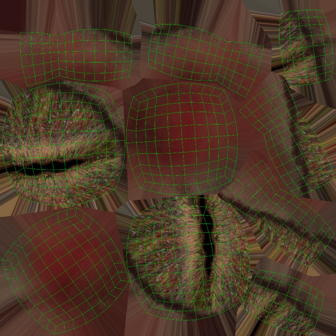 HQ Hemidactylus Turcicus Gecko 3D model https://p.turbosquid.com/ts-thumb/R2/Uaz8DC/H6/uveyescopy/jpg/1752735572/1920x1080/fit_q87/6046975344b53334ab80e9462d9ee9b6ecb122bd/uveyescopy.jpg
