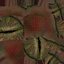 HQ Hemidactylus Turcicus Gecko