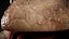 HQ Hemidactylus Turcicus Gecko