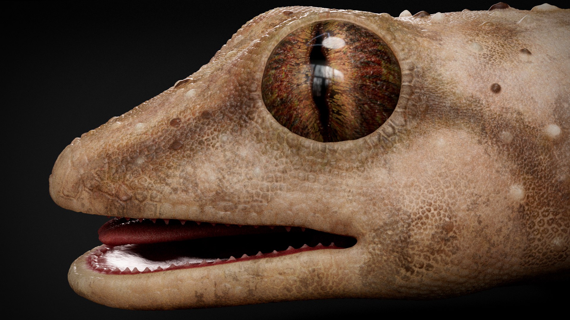 HQ Hemidactylus Turcicus Gecko 3D model https://p.turbosquid.com/ts-thumb/R2/Uaz8DC/Us/s7copy/jpg/1752735499/1920x1080/fit_q87/81fac77646d49d70394774434cbb1a02102094b9/s7copy.jpg