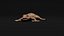 HQ Hemidactylus Turcicus Gecko