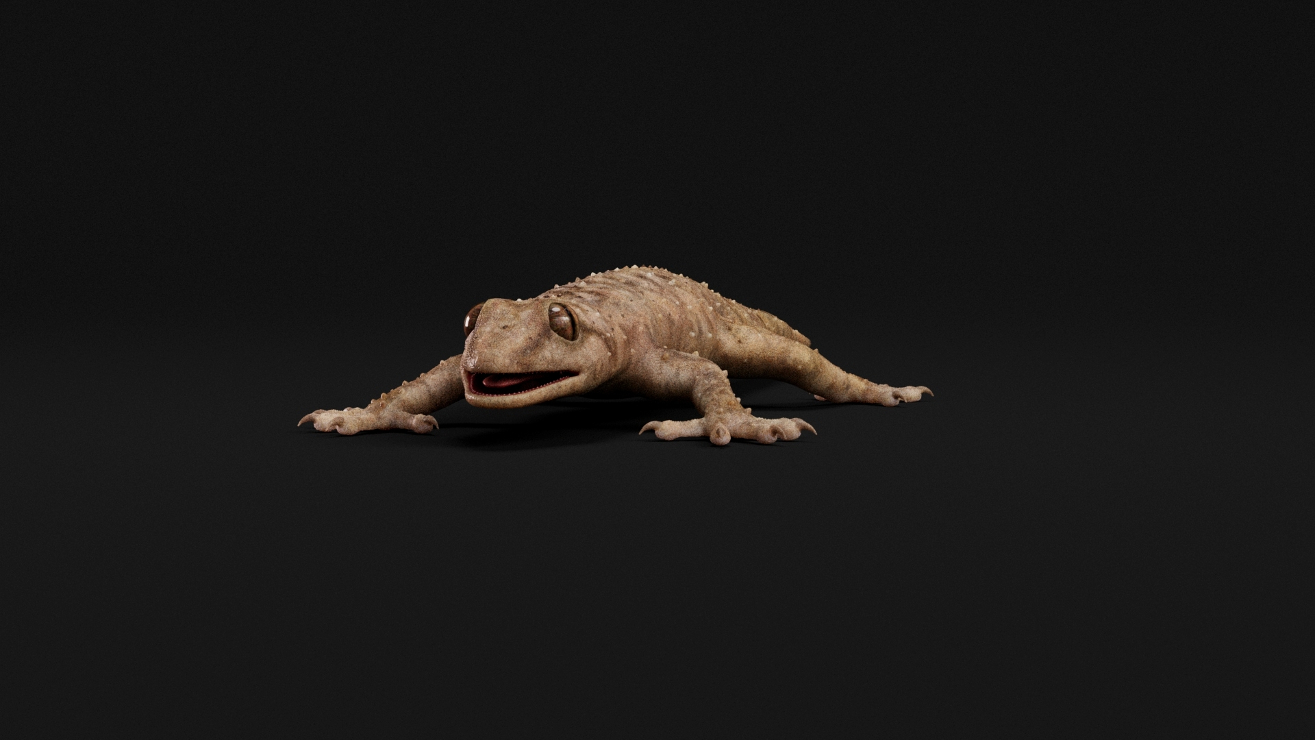 HQ Hemidactylus Turcicus Gecko 3D model https://p.turbosquid.com/ts-thumb/R2/Uaz8DC/dg/01/jpg/1752735890/1920x1080/turn_fit_q99/79a53a72dcb850f91dc84ce8fd5ad54658ba7689/01-1.jpg