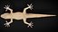 HQ Hemidactylus Turcicus Gecko