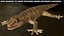 HQ Hemidactylus Turcicus Gecko