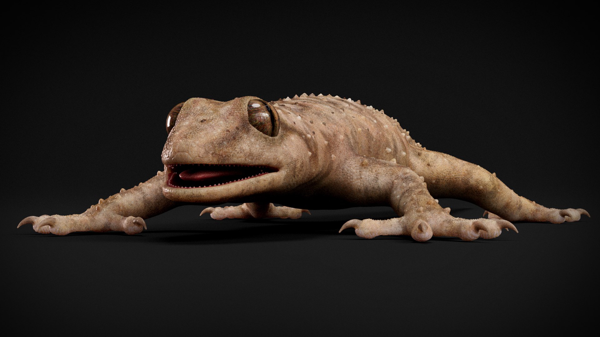 HQ Hemidactylus Turcicus Gecko 3D model https://p.turbosquid.com/ts-thumb/R2/Uaz8DC/sE/s1shotscopy/jpg/1752735447/1920x1080/fit_q87/130b20bc5a05510b57987b7c15ab64cc922d42dc/s1shotscopy.jpg