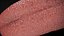 HQ Hemidactylus Turcicus Gecko