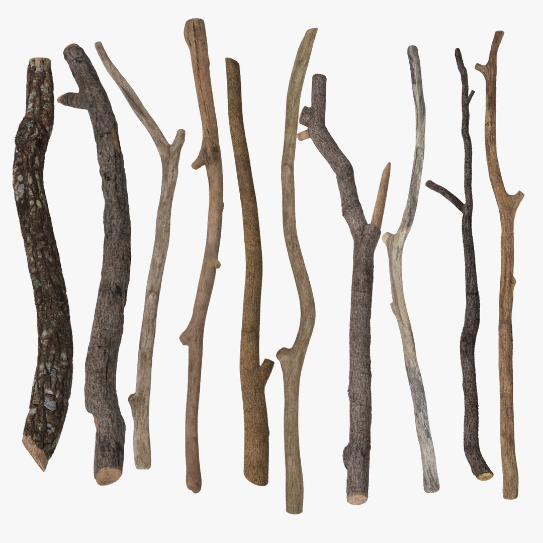 1,624,642 Twigs Images, Stock Photos, 3D objects, & Vectors