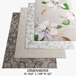 3D rug company 33