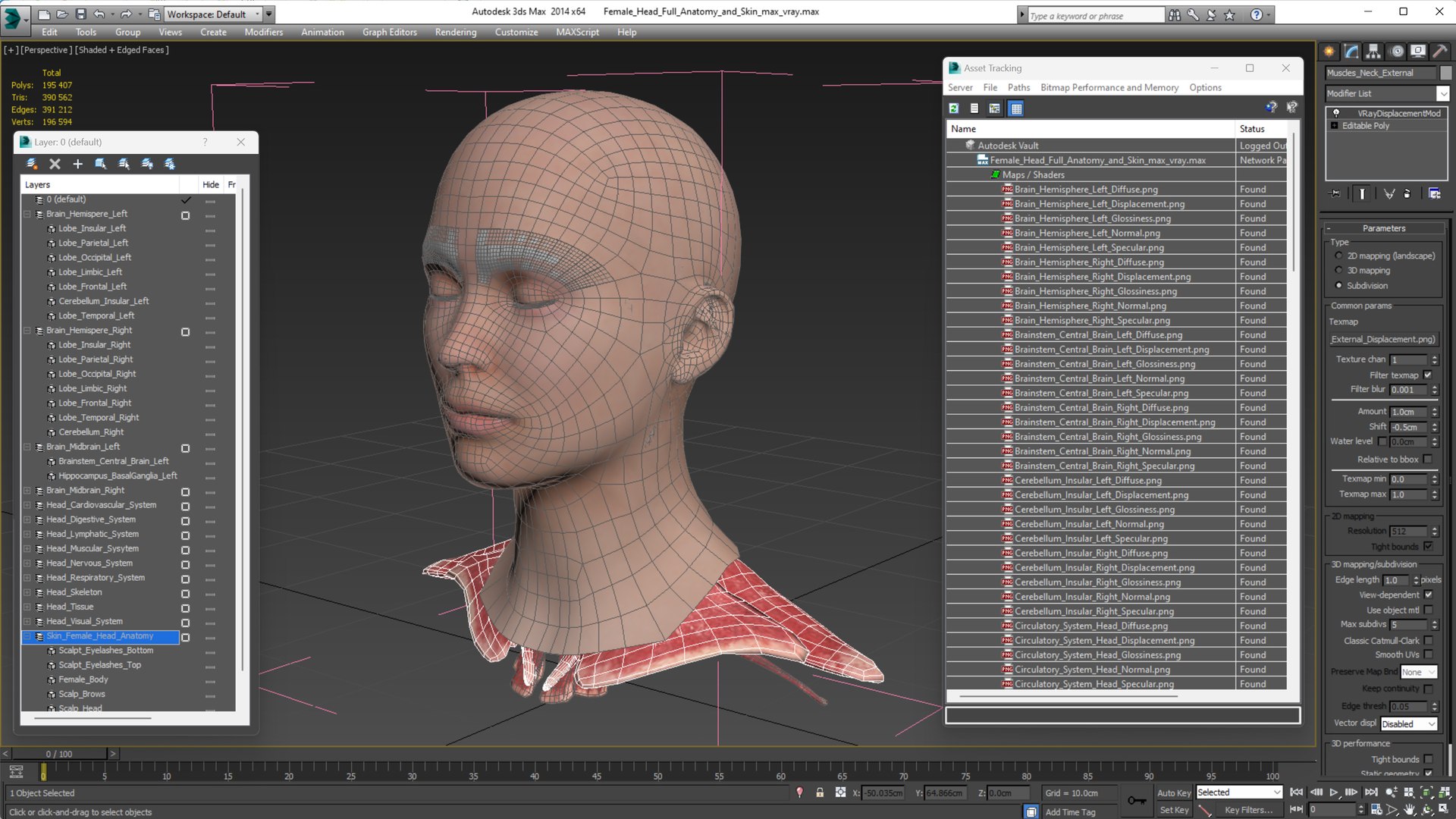 3D Female Head Full Anatomy And Skin - TurboSquid 2139821