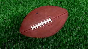 American football official game ball